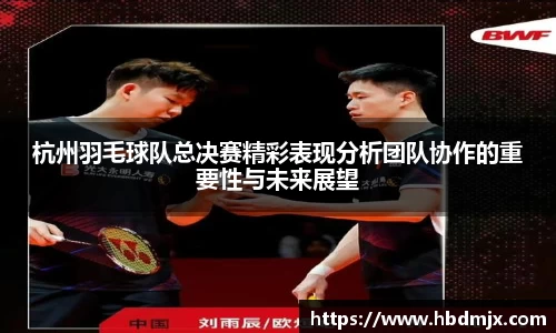 杭州羽毛球队总决赛精彩表现分析团队协作的重要性与未来展望