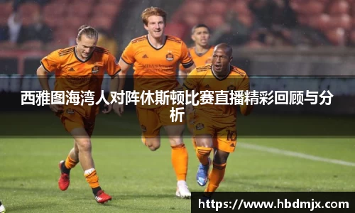 西雅图海湾人对阵休斯顿比赛直播精彩回顾与分析